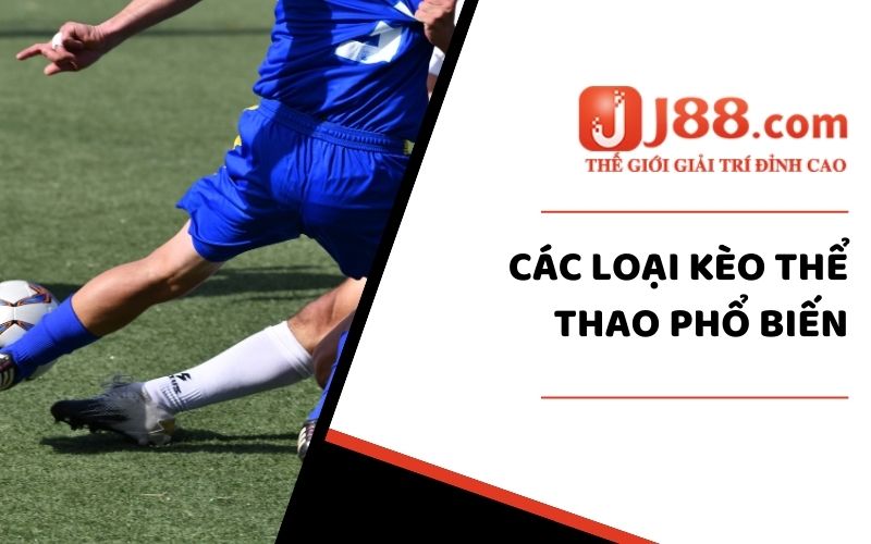 Khám phá các sản phẩm Thể Thao nổi bật