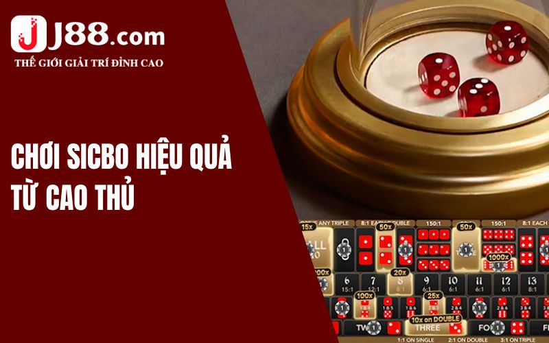 Hướng Dẫn Chơi Sicbo J88 Từ Cơ Bản Đến Chi Tiết Cho Bạn 3 Lưu ý nho nhỏ khi bet thủ tham gia Sicbo