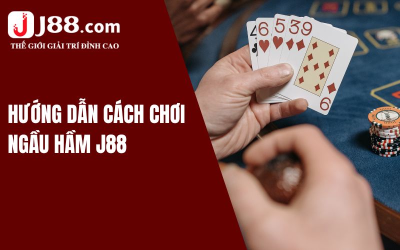 Chia Sẻ Cách Chơi Ngầu Hầm J88 Chuẩn Cao Thủ Cho Lính Mới 3 Lưu ý cơ bản khi chơi BullFight